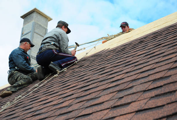 Best Shingle Roofing Installation  in Corbin, KY